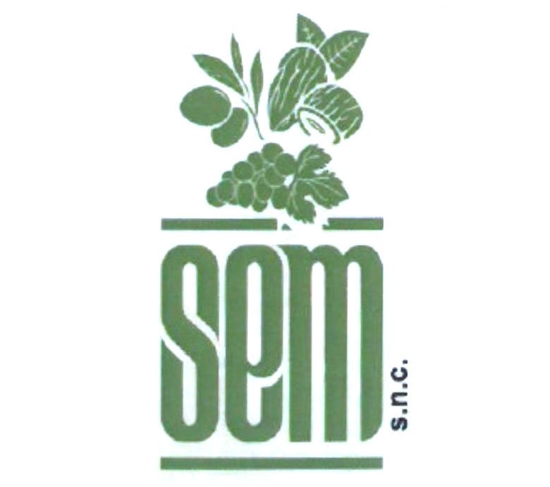 SEM-1
